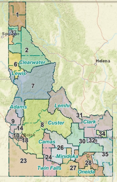 Idaho Supreme Court Upholds New Congressional Map Against State Law 